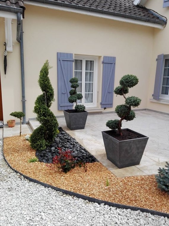 Bacs plantés de topiaires en nuage