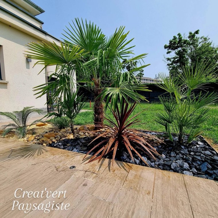Jardin exotique planté de palmiers